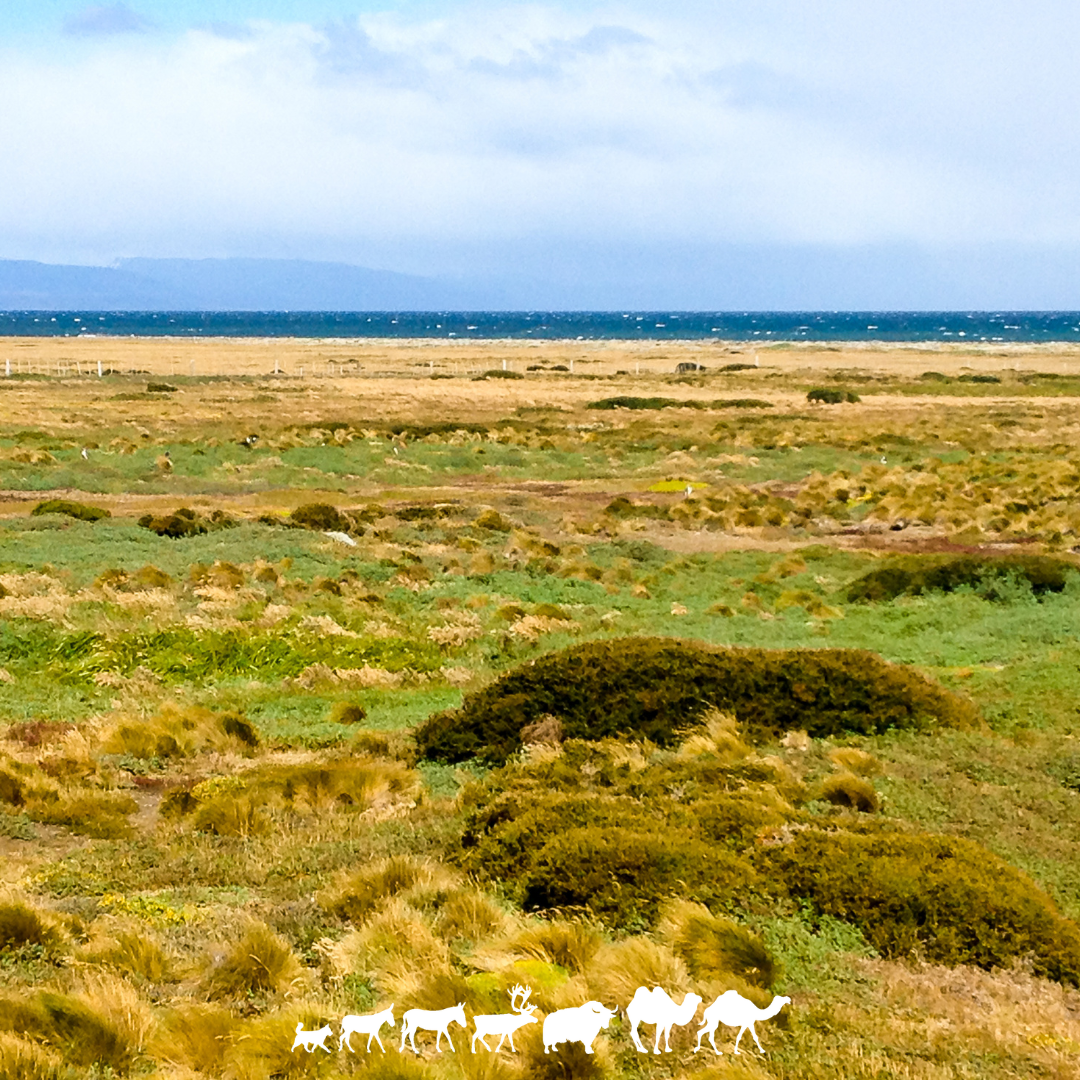 Voyage Amériques Chili